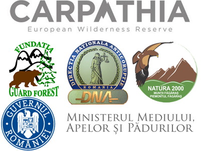 conservation-carpathia-ministerul-mediului-dna-guard-forest