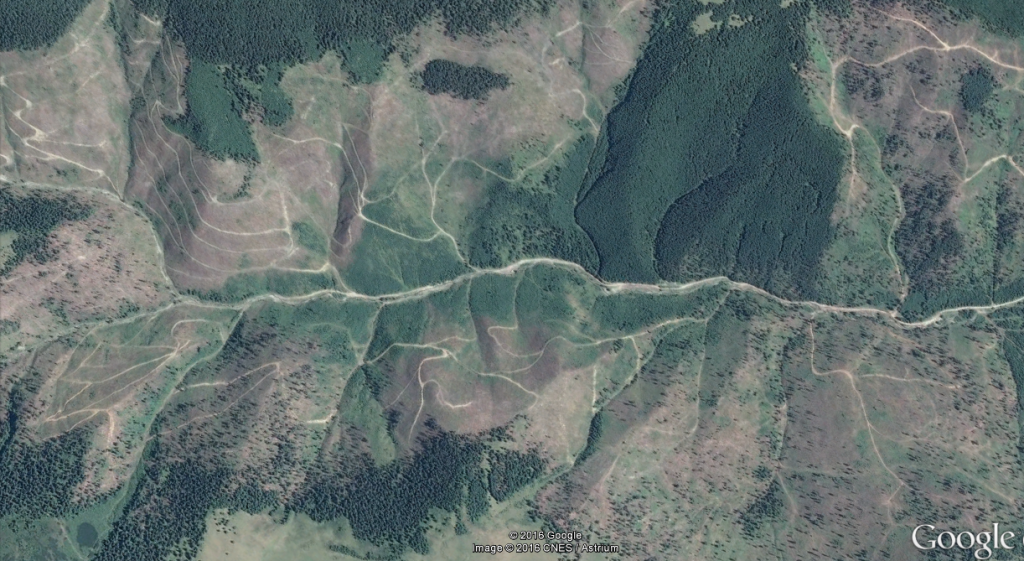 borsa-taieri-ilegale-2013-2015